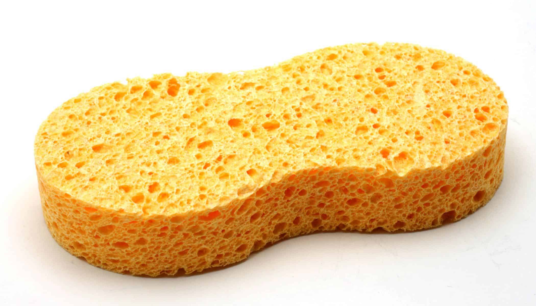 sponge